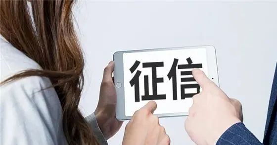 【城市信用】吴小雁：夯实信用支撑 优化营商环境 为中国式现代化强基赋能