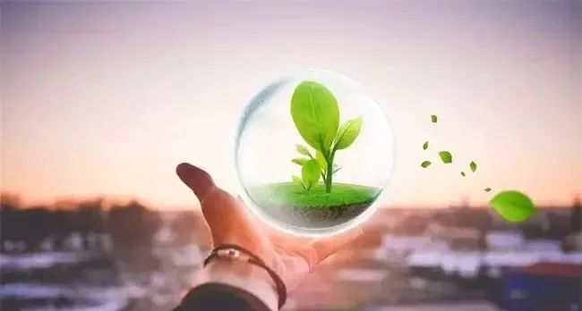 全国第二部！创设信用修复专章，打造分阶段信用修复路径